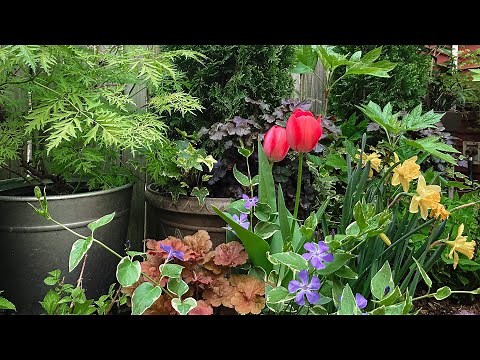 April Secret Garden Tour 2021 - Backyard Garden