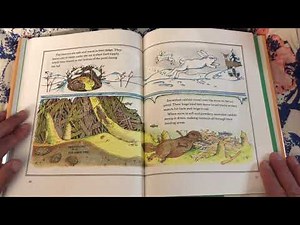 Read Aloud Nature: Crinkleroot's Guide to Animal Tracking by Jim Arnosky