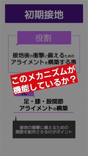 歩行動作入門【基本評価】足・膝・股関節での衝撃吸収 #shorts