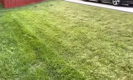 This man is a landscaper, earlier in the week he was going around a neighbor asking people if they would be interested in his services. He stopped by this one lady’s home who berated him for soliciting and told him he didn’t belong in the neighborhood.A week later he got a job mowing the lawn of that same lady’s neighbor. During the service she came out and started yelling at him. She kept reiterating that he did not belong there.The problem is now that the neighbor and a few other people that o