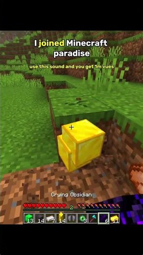 Breaking Minecraft Logic Part1