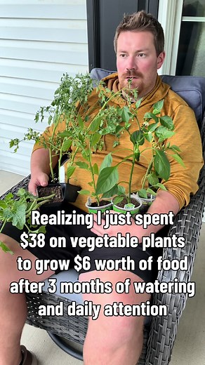 Why I Spent $38 on Vegetable Plants to Grow $6 of Food