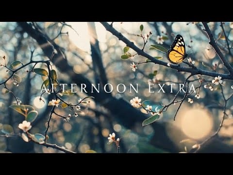 Chic&Chill Music "Afternoon Extra" / Relaxing and Peacefull