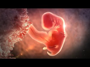 WDR / Quarks & Co: Intersexualiät - Warum es mehr als zwei Geschlechter gibt