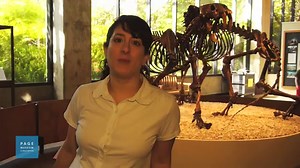 How Climate Change Drove Ice Age Predators' Evolution