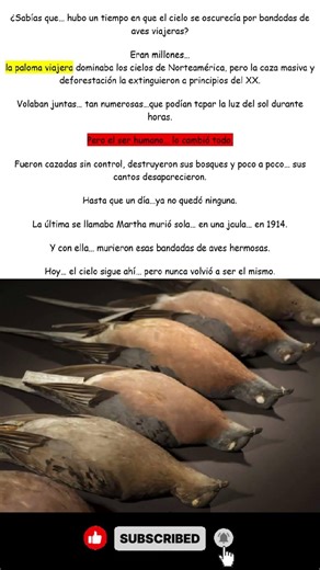 EL DIA QUE EL CIELO MURIO... Y NADIE SE DIO CUENTA.