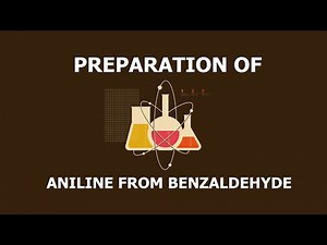 Preparation of Aniline from Benzaldehyde (Step by step)