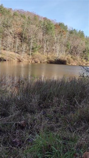 Saltlick Creek Watershed 20251113 1516: Nature Sounds and Visuals, Calming & Relaxing