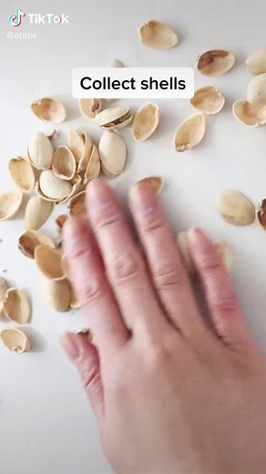 DIY Pistachio Shell Flower Crafts