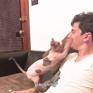 How to Make Friends: | America's Funniest Home Videos