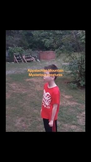 terrified vids on Instagram: "People across the Appalachian Mountains have reported encounters with strange creatures for generations — things that don’t quite fit any known animal. Descriptions range from tall, thin figures moving on two legs to massive shapes crashing through forests without leaving clear tracks. Many sightings happen in remote hollows, old mining areas, or deep stretches of national forest where visibility drops fast. Some witnesses describe pale, hairless beings watching sil
