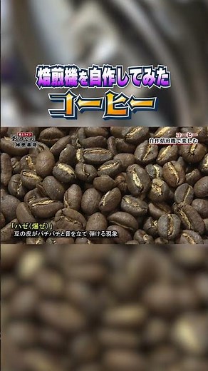 焙煎機を自作してしまう！果たして成功するのか⁉ #コーヒー #焙煎【おとなの秘密基地】