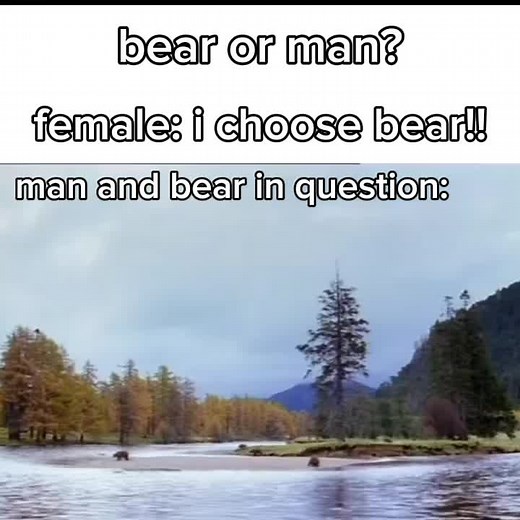 Bears vs. Salmon: The Best in Nature