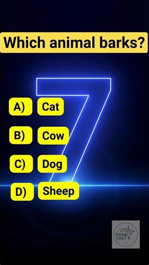 Think Fast 🧠 Try This