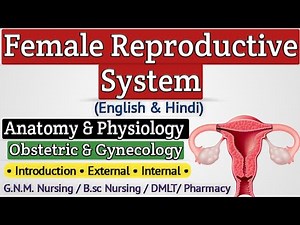 Female Reproductive System Lecture In Hindi / Reproductive System Anatomy And Physiology For Nursing