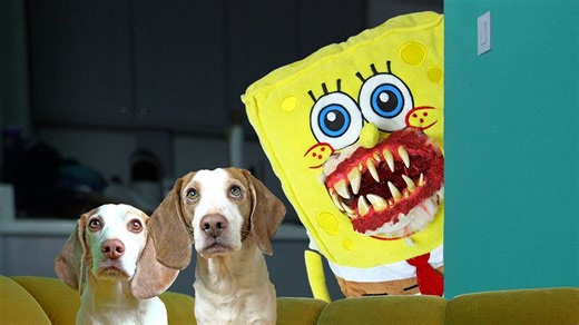 Brave dogs face evil SpongeBob army during intense encounter