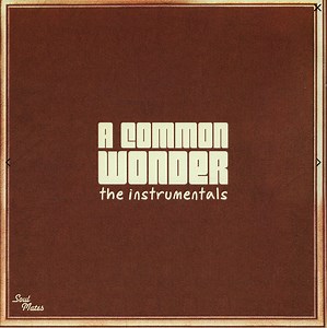 Amerigo Gazaway - A Common Wonder The Instrumentals