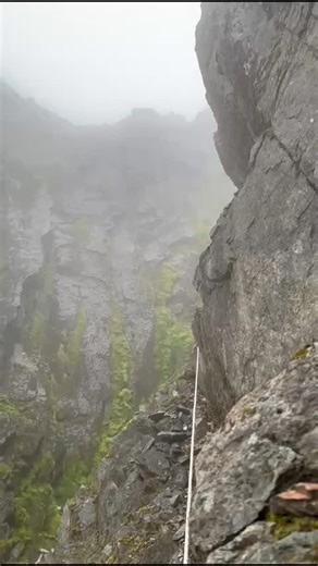 1.5K views · 461 reactions | Matt's Plant Experience of the Year for...