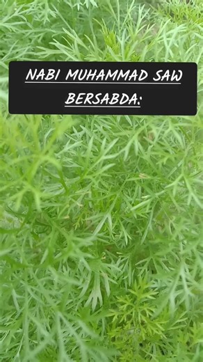 Kenapa Rezekimu Seret? Mungkin Ini Sebabnya...