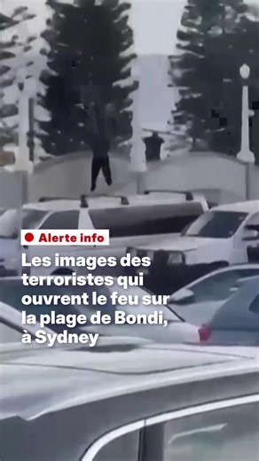 Au moins 12 personnes sont mortes, ce dimanche 14 décembre, après des tirs sur la plage de Bondi à Sydney. Les forces de l'ordre sont actuellement sur place. L'un des tireurs est mort, l'autre est dans un état critique #australia #bondi #SinformerSurTikTok