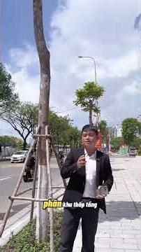 Day 25: Quôc và danang downtown 69 tâng. ponte bàn giao, the rio #danangdowntown #shophouse #therio