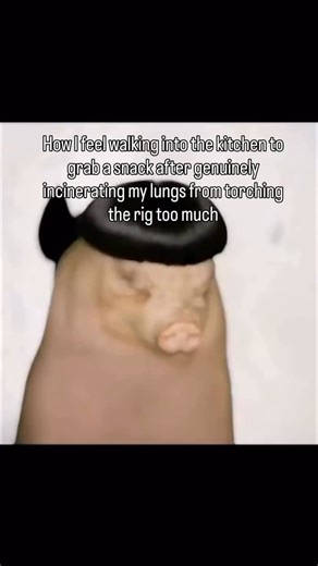 The Plug Talk on Instagram: "Interesting facts about pigs 😴: Pigs are smarter than most people realize. Studies show they can solve puzzles, recognize their own names, and even learn simple games faster than dogs. Despite the phrase “dirty as a pig,” pigs are actually very clean animals. They roll in mud only to cool off because they don’t sweat. Pork is one of the most widely eaten meats on the planet, consumed by over one third of the world’s population. It’s also one of the oldest domesticat