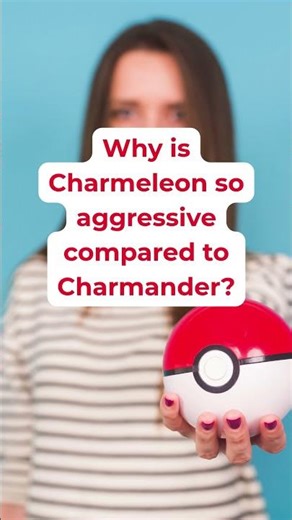 Pokémon fun facts - 005 Charmeleon