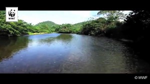 174K views · 726 reactions | Save the world. Protect our earth. Water is life. Earth is Crying. (Screen recording by Camtasia.) | Love the earth | Facebook