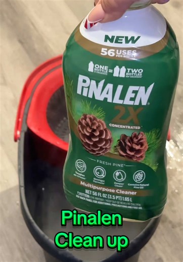 Clean up was horrible. 😂 I showed 3 dumps but really, it was 6. I did an only water rinse after this. I’ll post later. #chelle_cleans #chellecleans #notrealisticcleaning #realisticcleaning