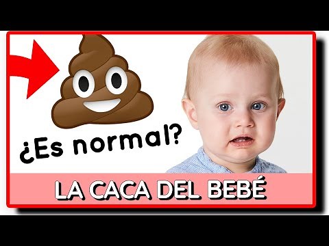 🍼 TYPES OF BABY POOP AND THEIR MEANING 💩 When to worry?