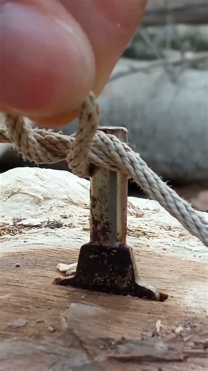 Tight knot, zero worries!! #shortvideo#everyone#foryou#support#subscribe✅❤️