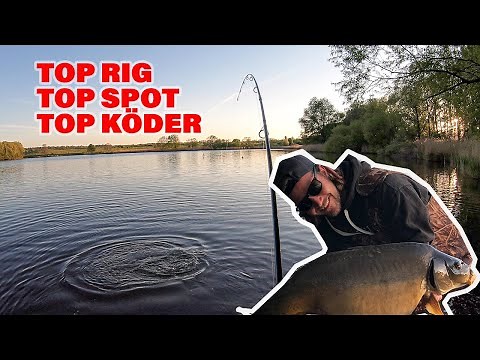 The best rig for carp fishing. This will catch any big carp. Fishing with the best boilies!