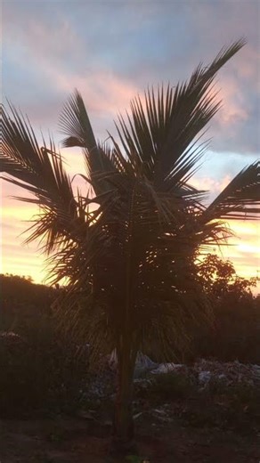 19 de março de 2026