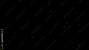 Fireflies Animation. Fireflies Background Animation. Fireflies Loop Animation