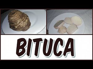 HERE WE TELL YOU THE BENEFITS THAT THE BITUCA GIVES YOU