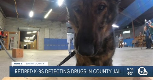 Police K-9s, once used on the streets to sniff out drugs, find new jobs inside Ohio jails