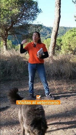 ¿Conoces el chaleco ThunderShirt?