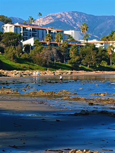 Discover the Serenity of Leadbetter Beach in Santa Barbara