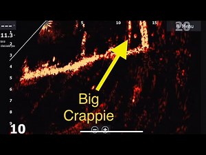 How i Set My Lowrance Active Target Up For Fishing For Crappie On Cypress Trees