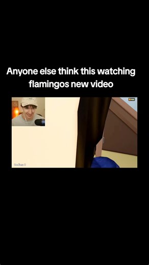 Flamingo's New Video: Quality and Fun Moments Revealed