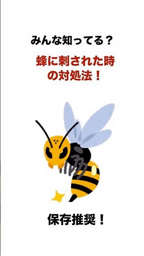 みんな知ってる？蜂に刺された時の対処法！#医療#救命士#雑学ショート#命を守る VOICEVOX:春日部つむぎ