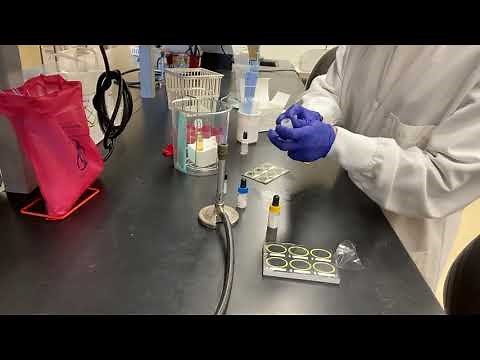 Campylobacter Lab