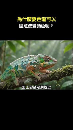 Why Can Chameleons Change Their Colors at Will? #AnimalFacts #Chameleon