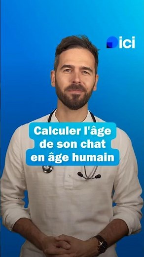 Âge des chats : comment calculer leur équivalent humain