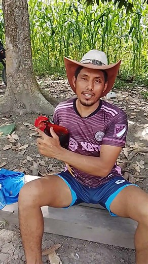 4to gallo que ya está listo para descrestar #gallos