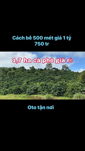 62K views · 466 reactions | Lh 0984,59,71,72 #bds #bdslamdong #bdsdongnai #bdshanoi #dangtruong | Đặng Trường | Facebook