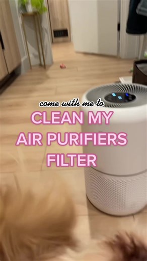 How to properly clean your Levoit air purifier filter