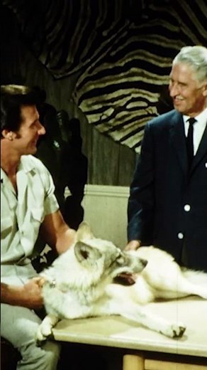 Marlin Perkins Cofounded the Endangered Wolf Center