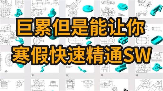 【SW100练习】巨累但是能让你寒假快速精通SW！简单又实用，手把手教学，每日一练，轻松掌握!