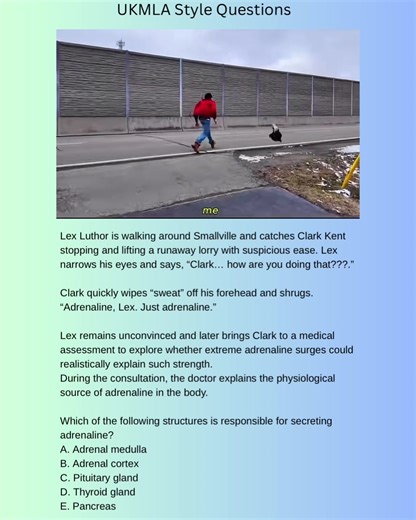 Which of the following structures is responsible for secreting adrenaline? A. Adrenal medulla B. Adrenal cortex C. Pituitary gland D. Thyroid gland E. Pancreas Correct answer: A – Adrenal medulla Answer breakdown A. Adrenal medulla – Correct The adrenal medulla secretes adrenaline (epinephrine) and noradrenaline in response to sympathetic stimulation as part of the fight-or-flight response. B. Adrenal cortex – Incorrect Produces cortisol, aldosterone, and androgens, not adrenaline. C. Pituitary 